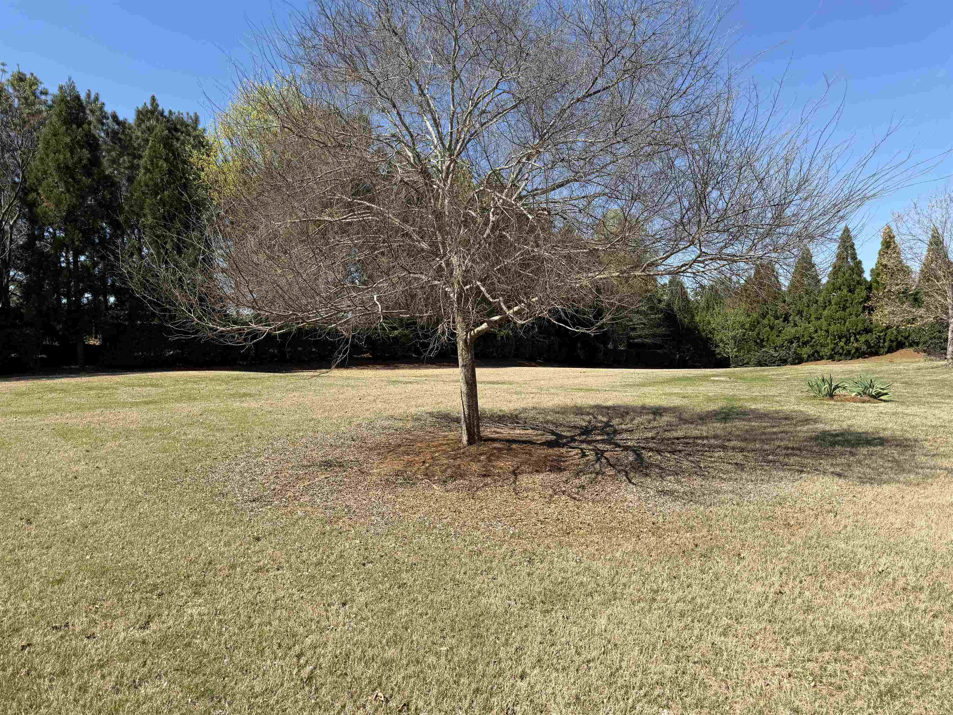 1320 SUMMER HOLLOW ROAD