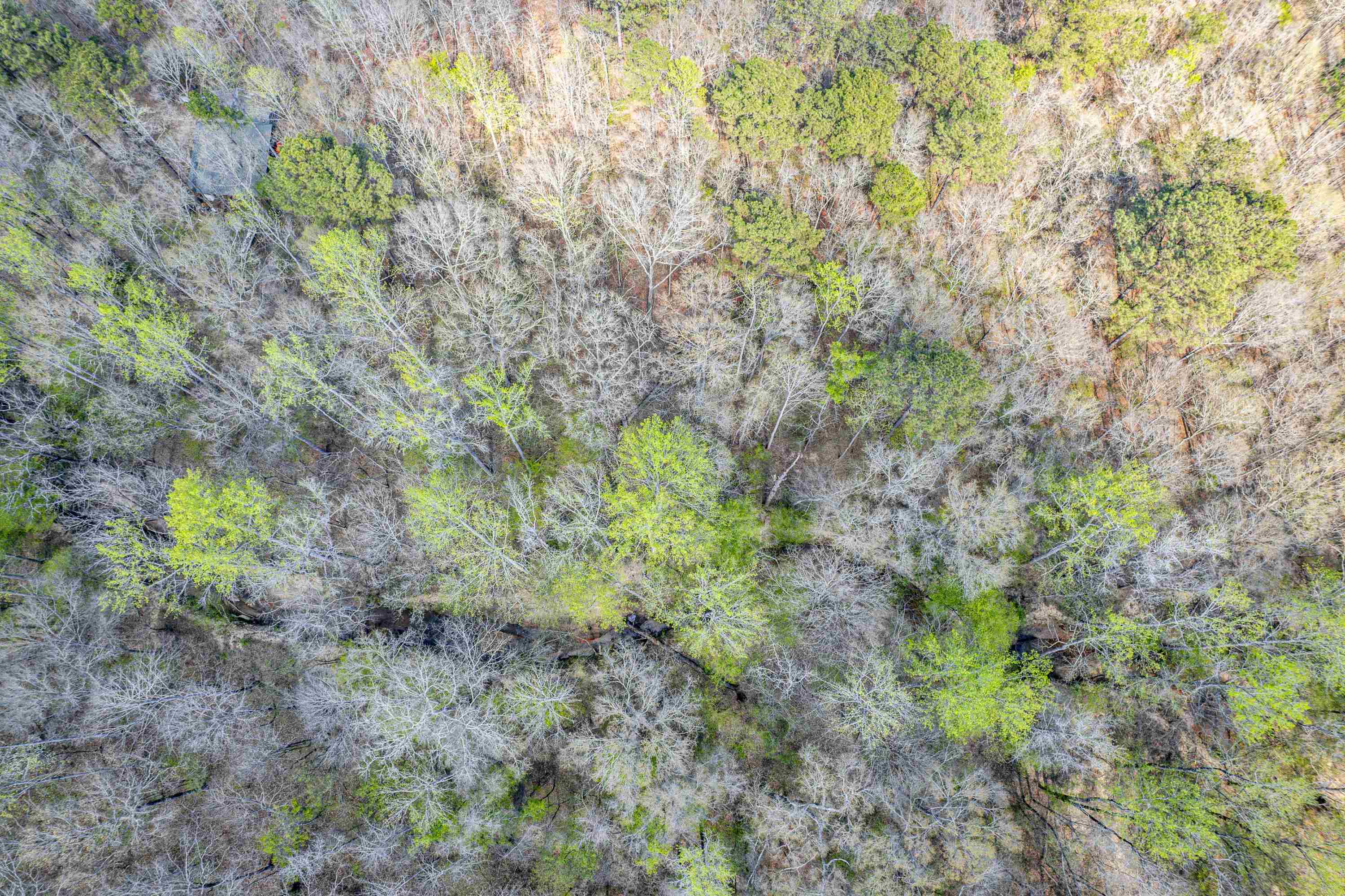 357 OLD COPELAN ROAD # 1