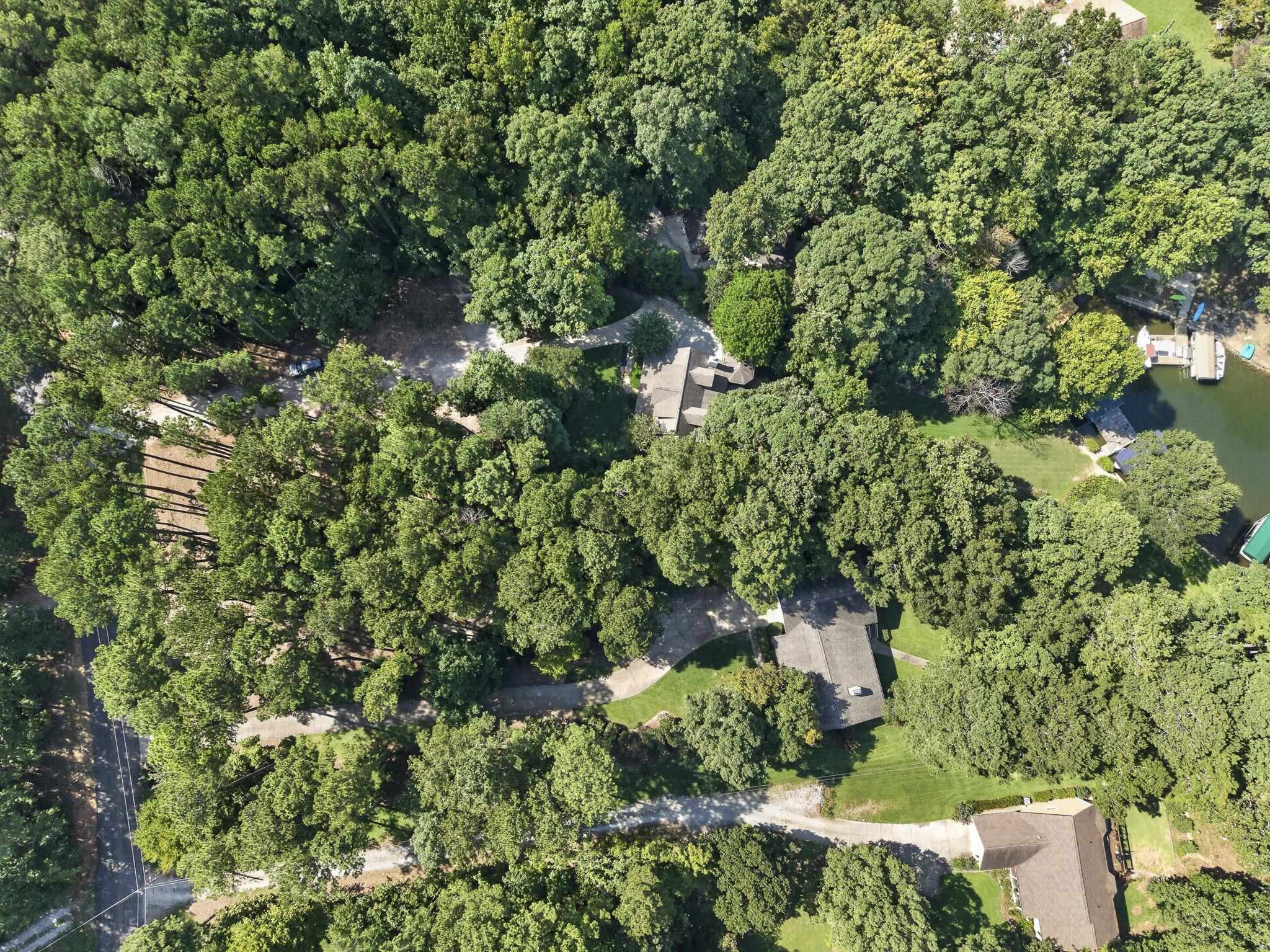119 FOREST RIDGE DRIVE