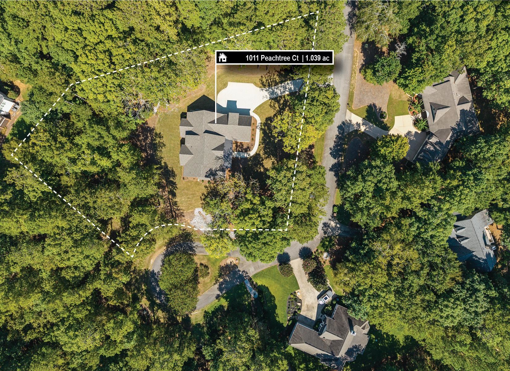 1011 PEACHTREE COURT