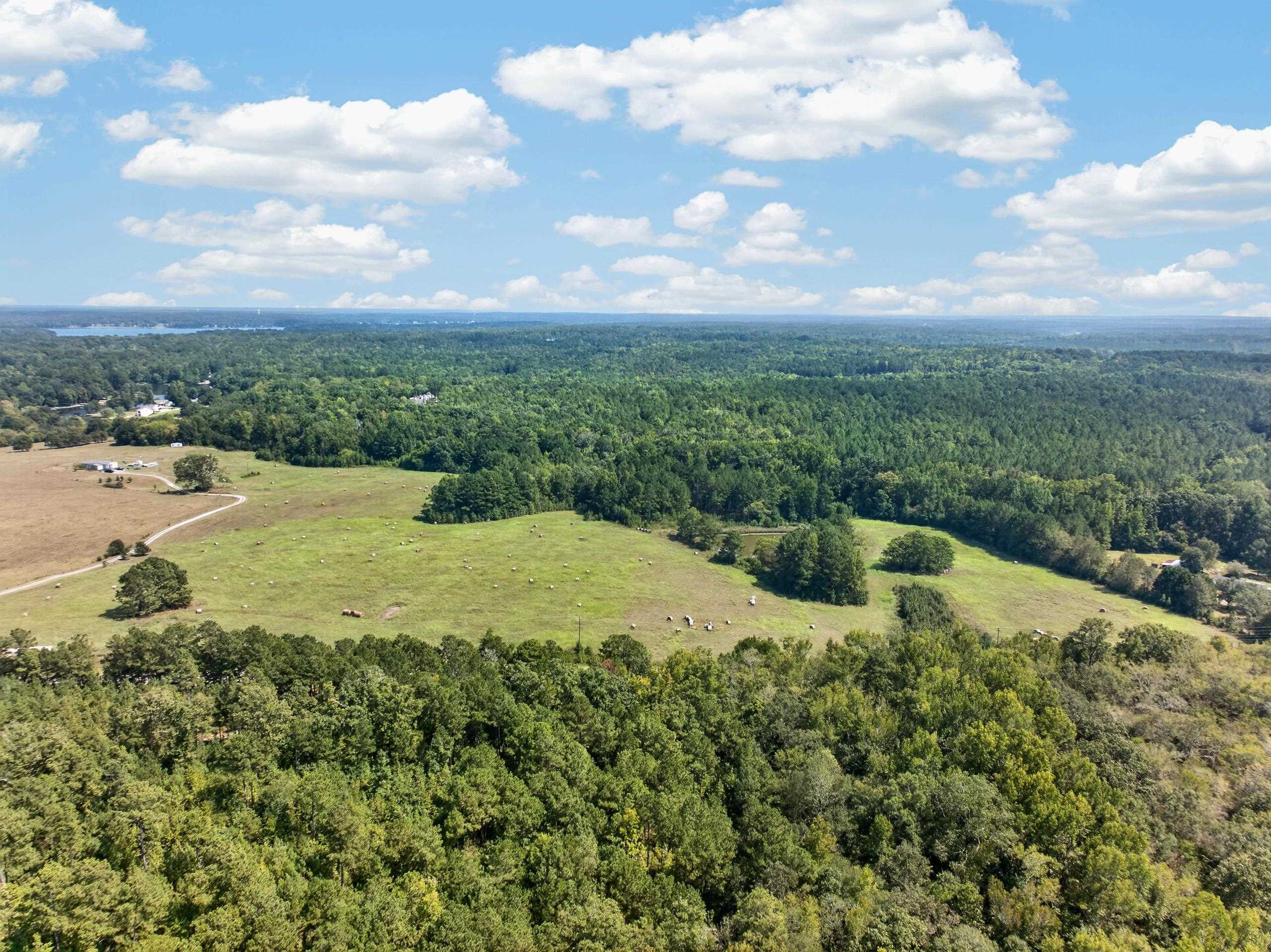 252 PARKS MILL ROAD # 0