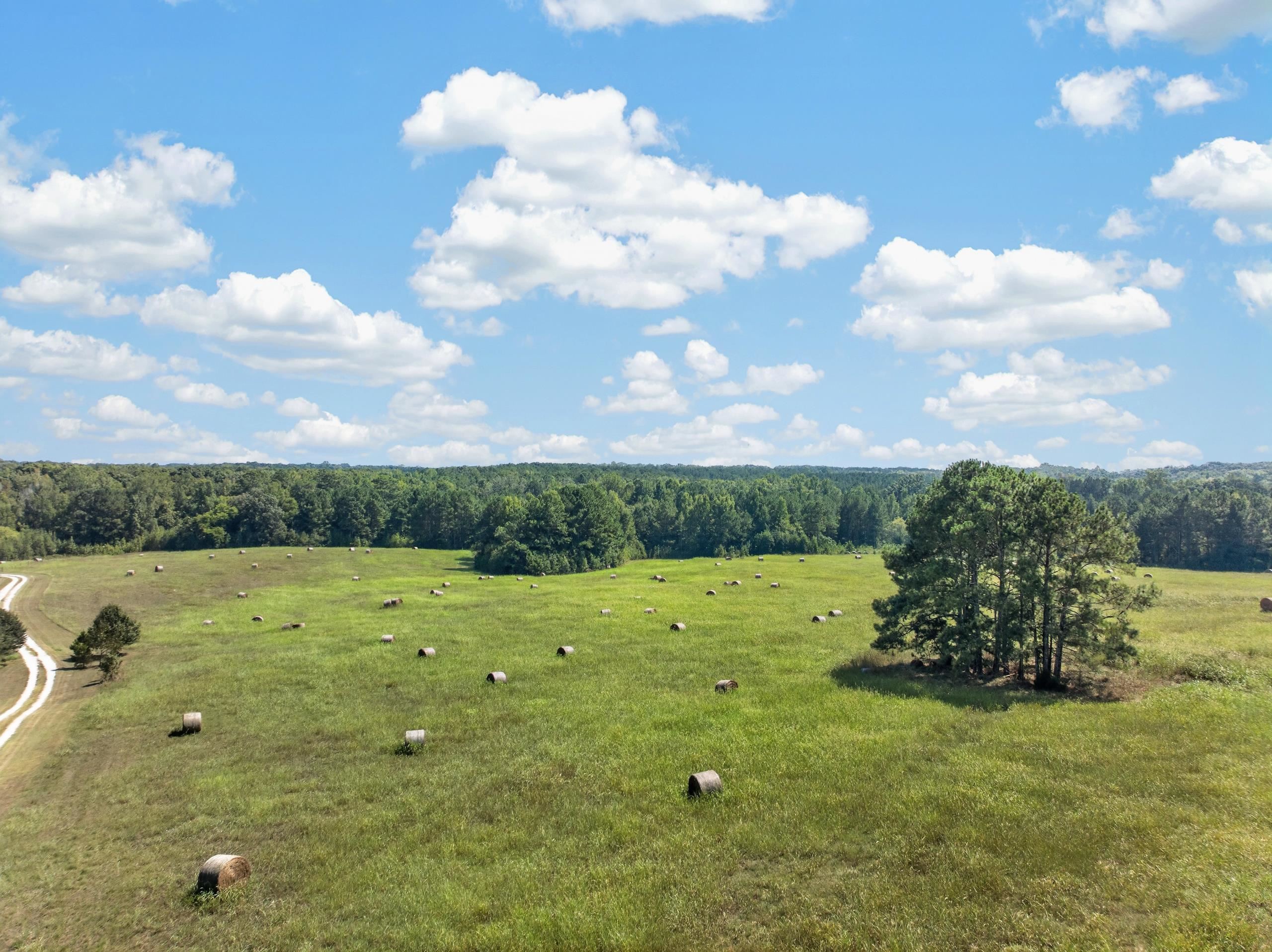 252 PARKS MILL ROAD # 0