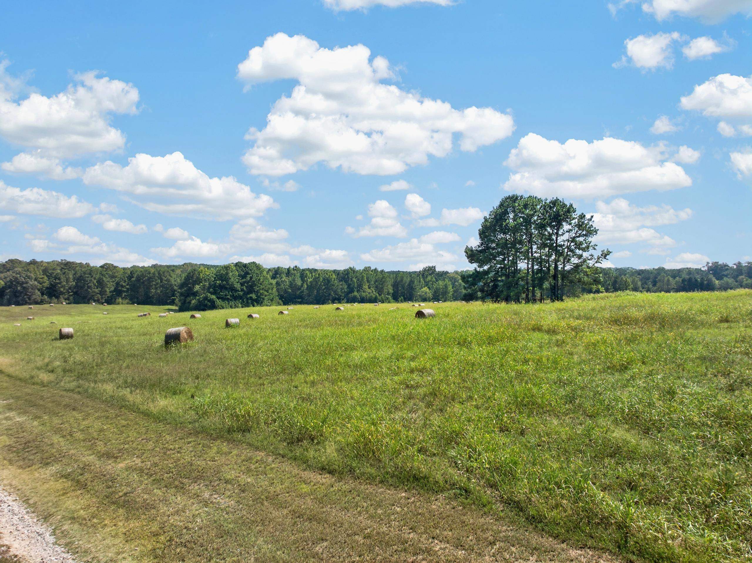 252 PARKS MILL ROAD # 0