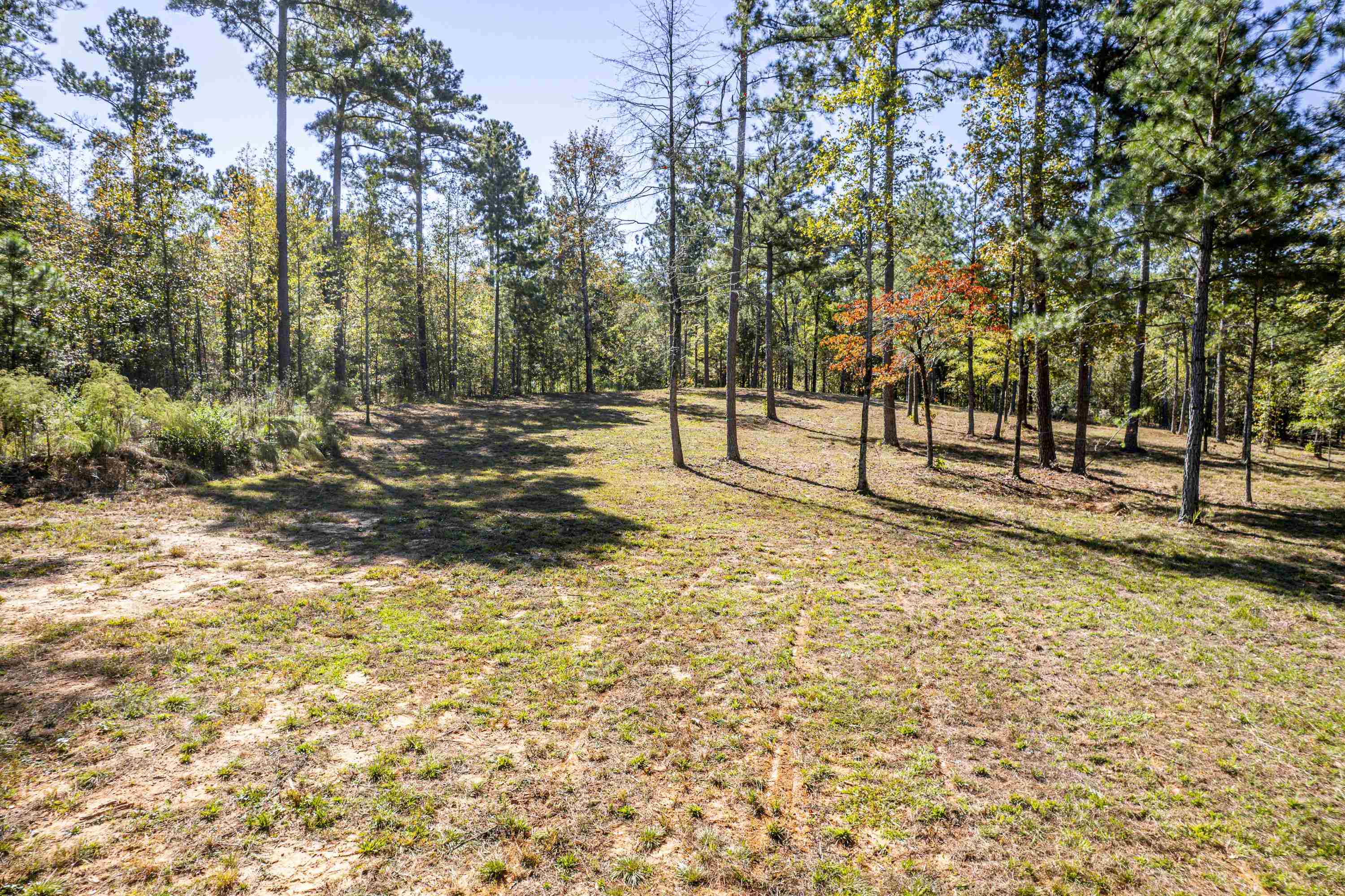 1081 EAGLE WAY DRIVE # 2