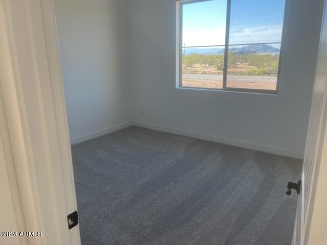 29630 N 151st Avenue