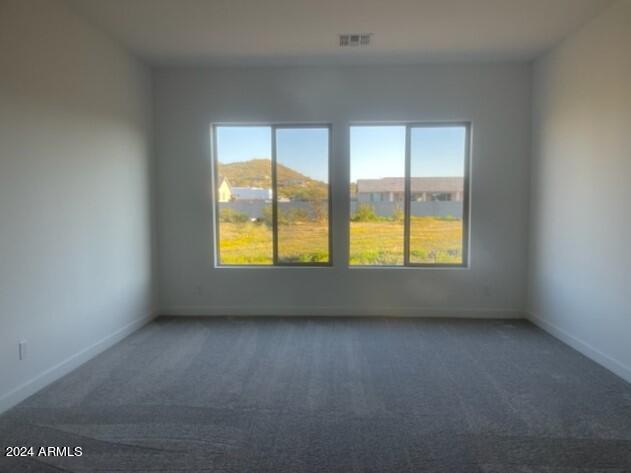 29630 N 151st Avenue