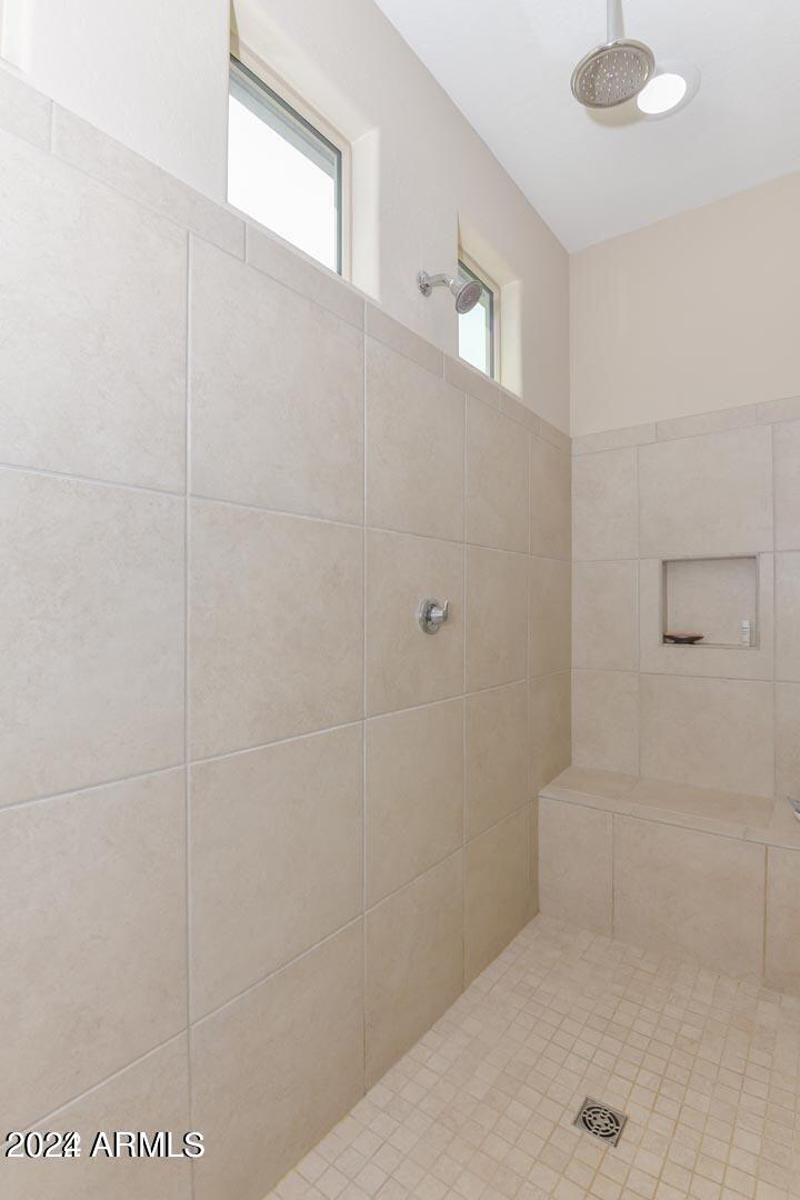 10742 W PRICKLY PEAR Trail