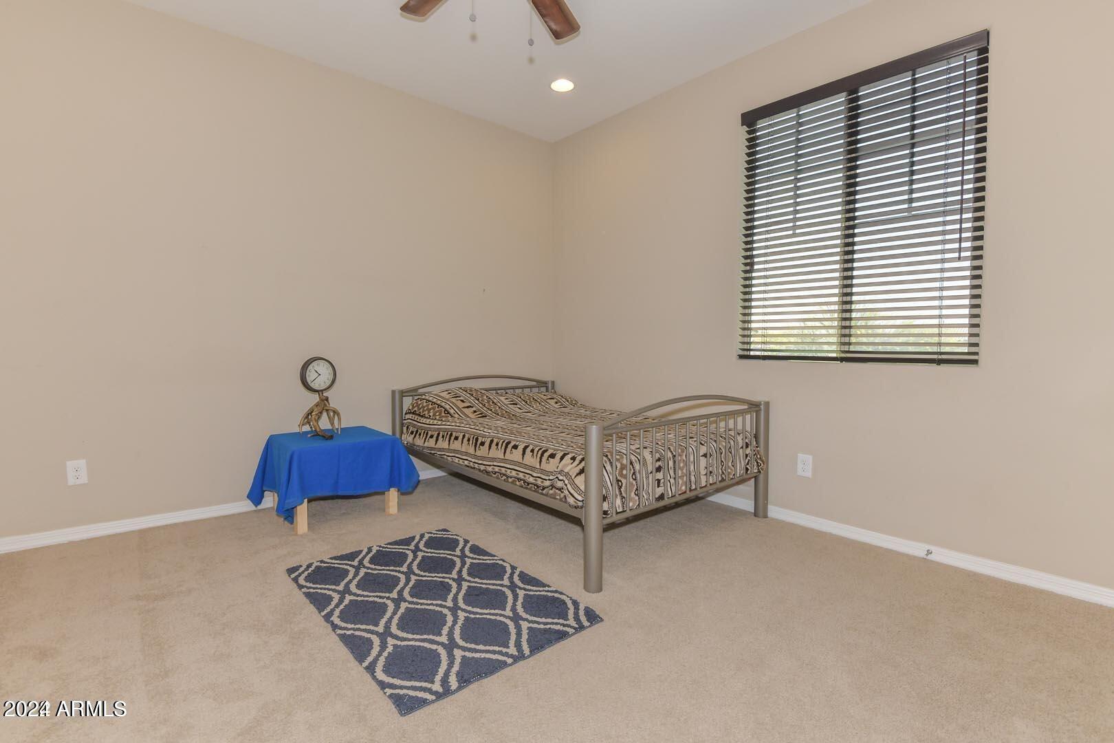 10742 W PRICKLY PEAR Trail