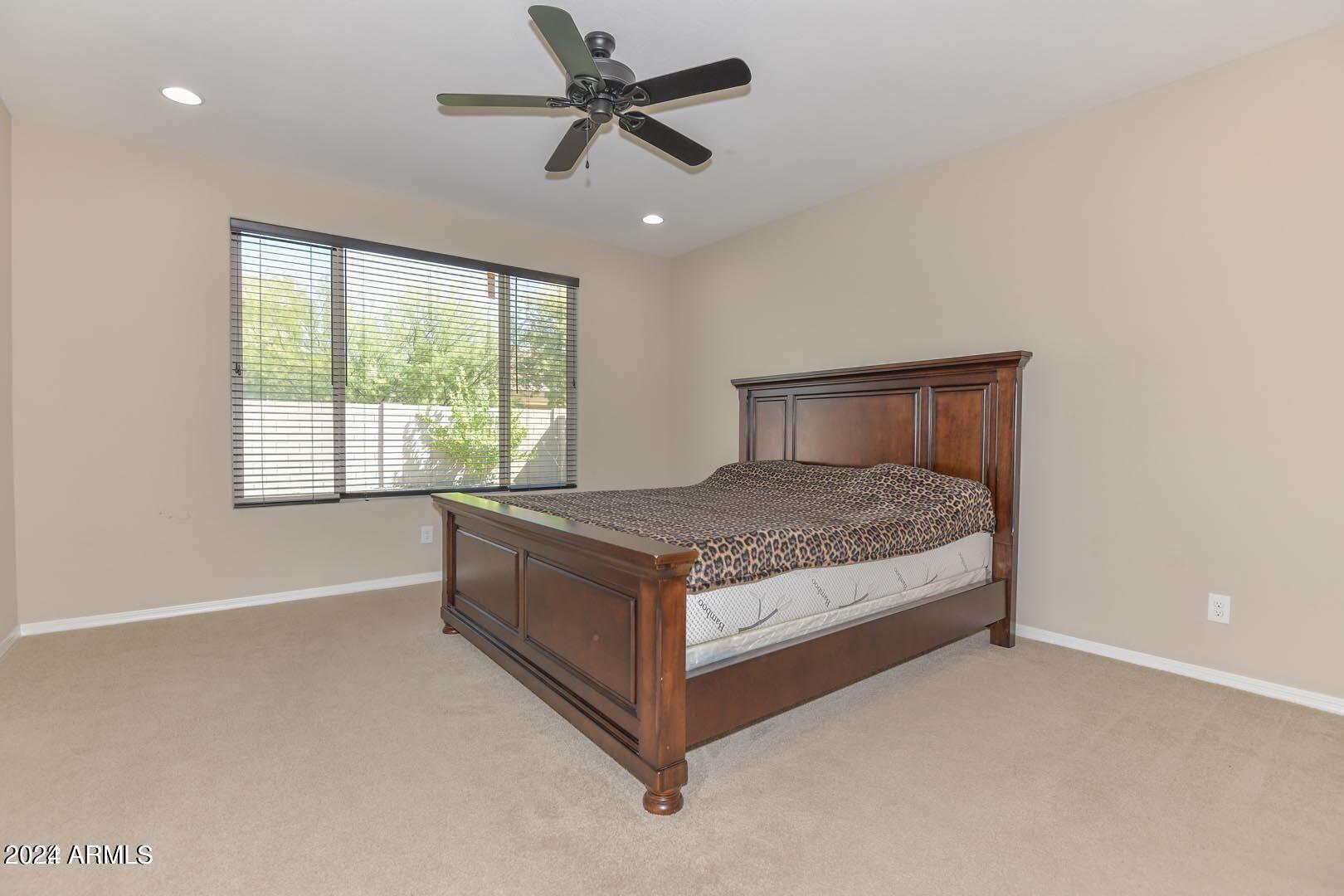 10742 W PRICKLY PEAR Trail