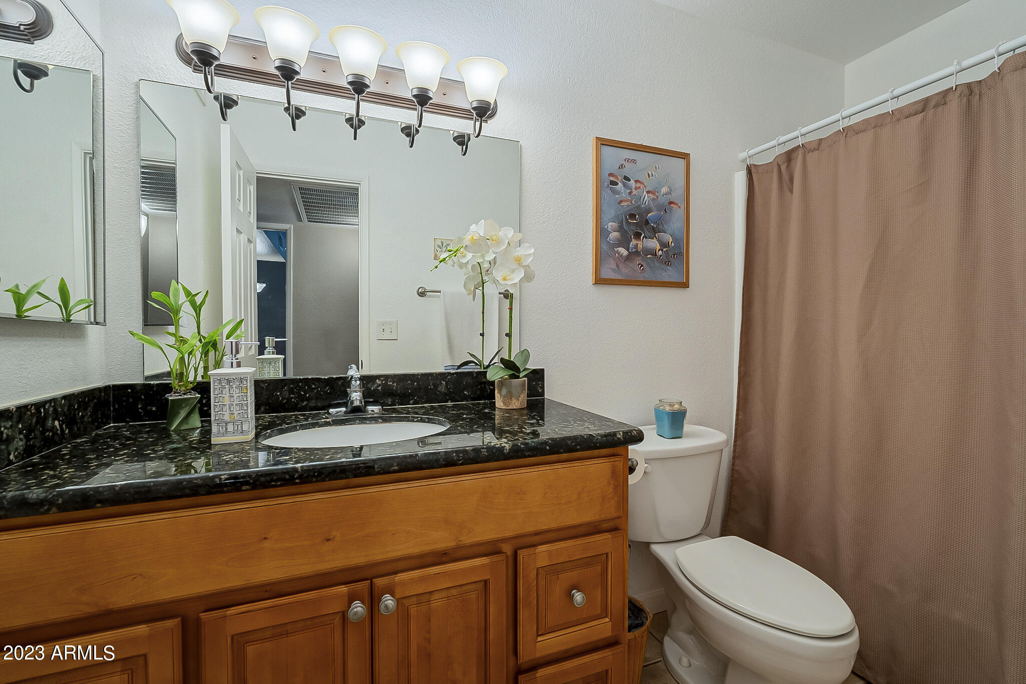 5877 N GRANITE REEF Road, 2224