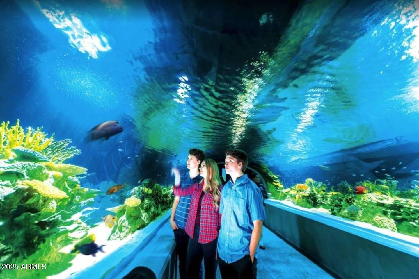 8447 E SHERIDAN Street