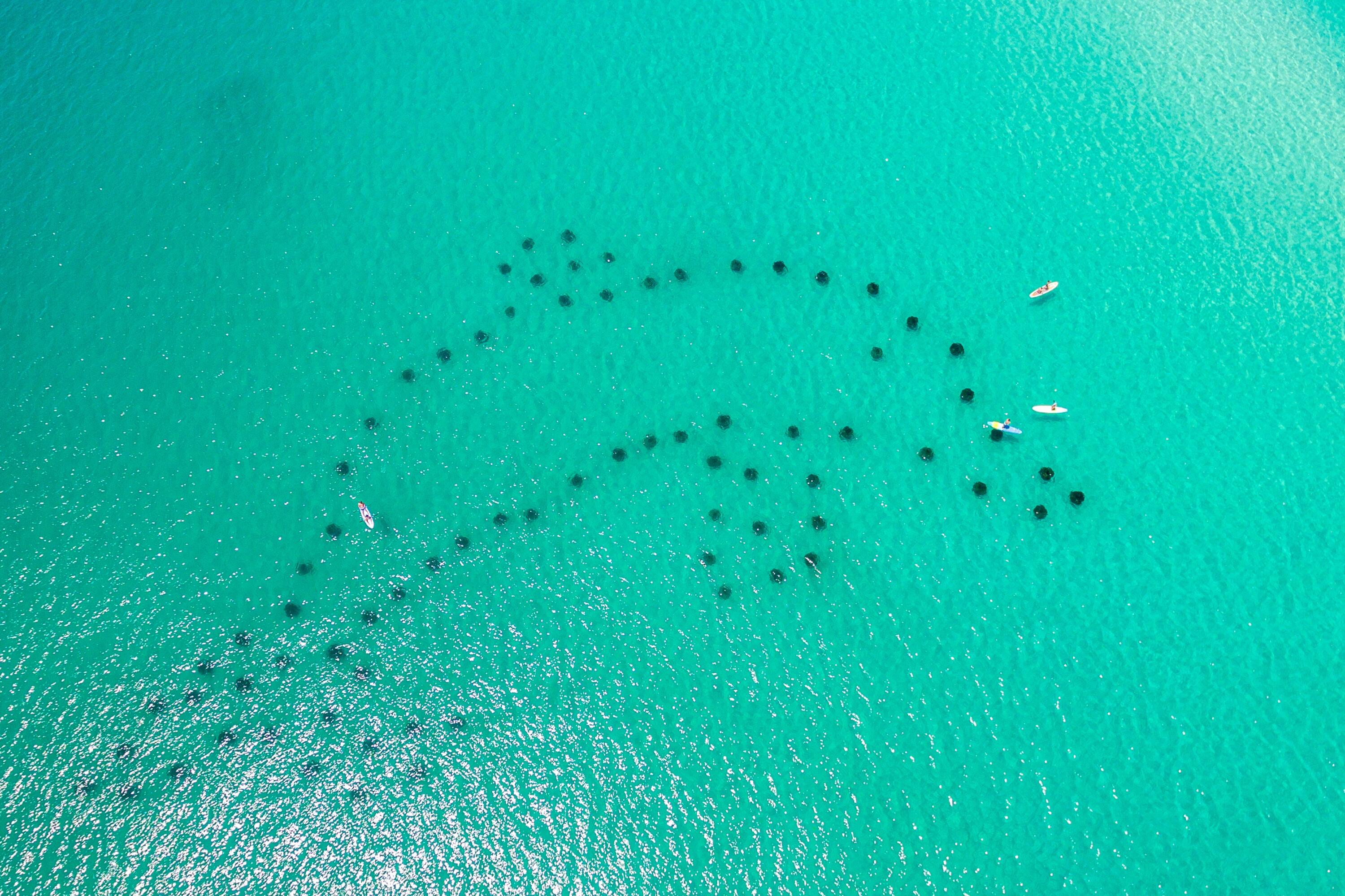 1986 Scenic Gulf Dr. Drive # 11