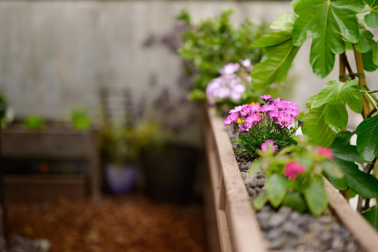 237 Bluebonnet LN 304