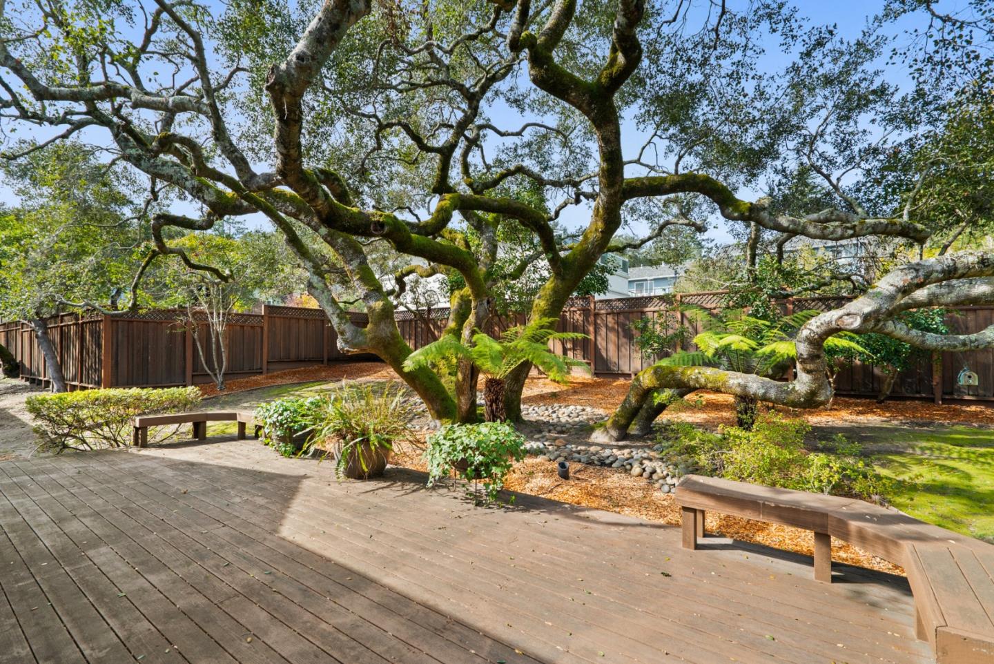 25 Bay Laurel Court