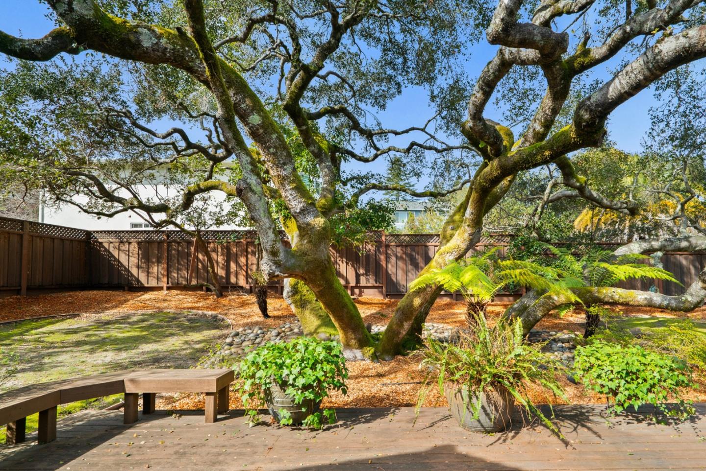 25 Bay Laurel Court