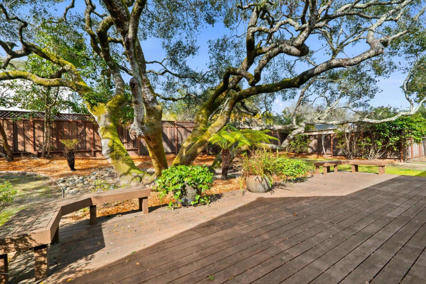 25 Bay Laurel Court