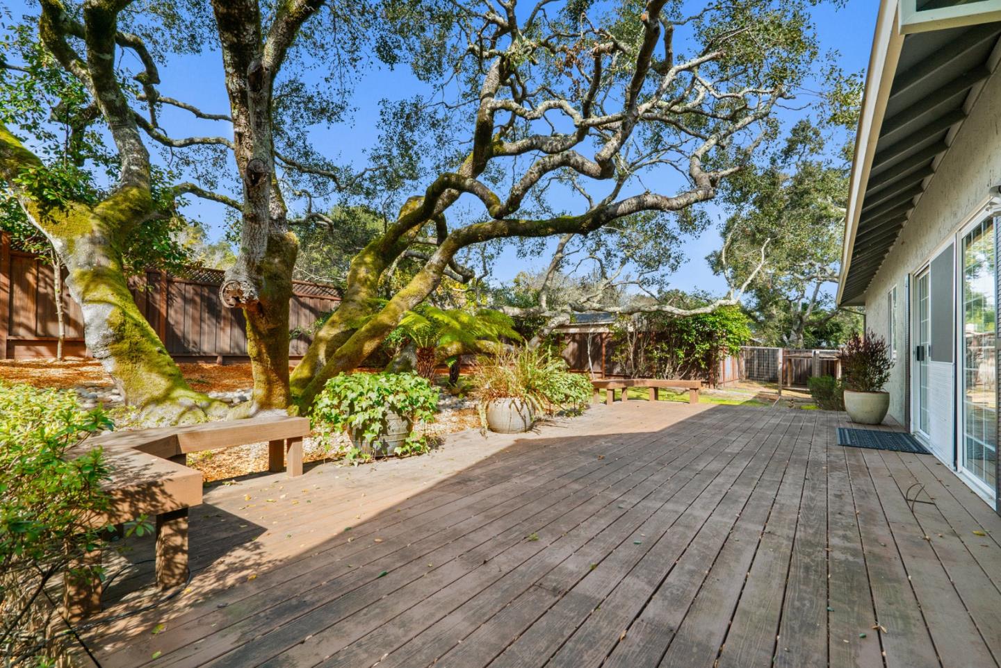 25 Bay Laurel Court