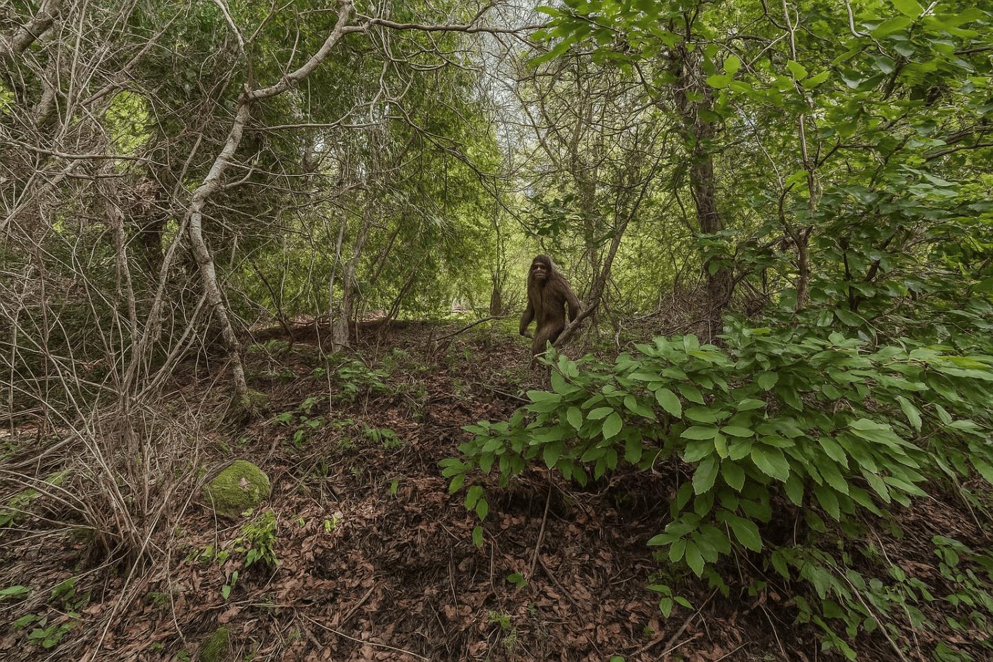 Lot 02 Lakeview Avenue
