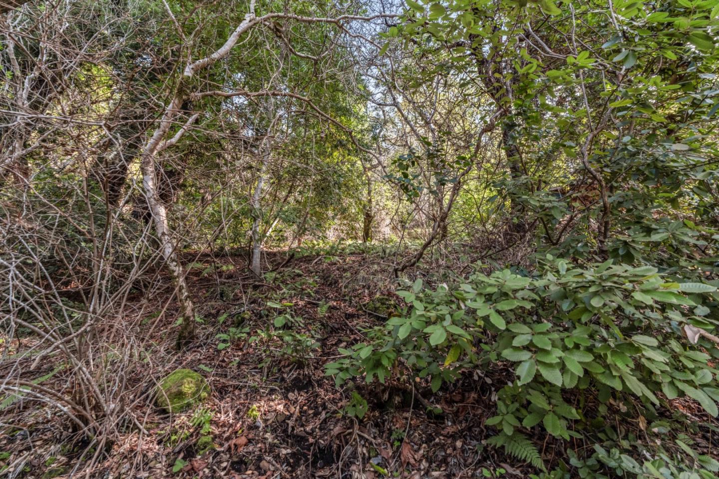 Lot 02 Lakeview Avenue