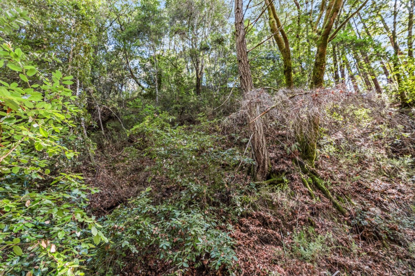 Lot 18 Antler Street