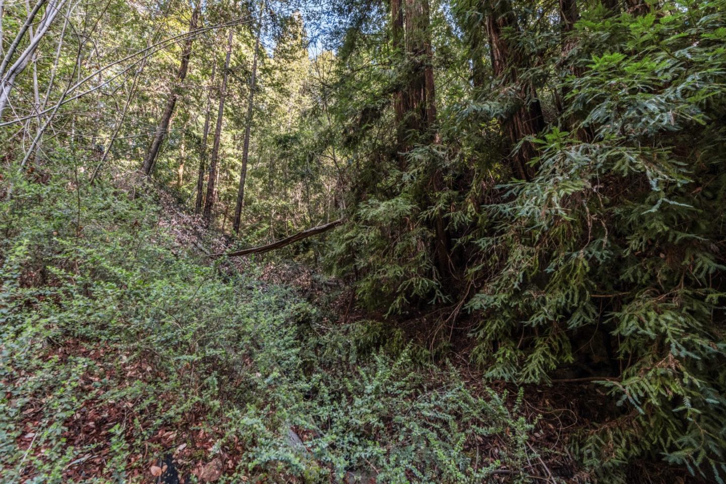 Lot 18 Antler Street