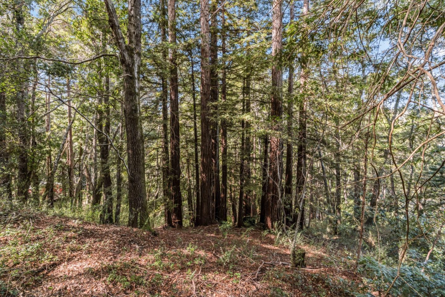 Lot 11 Volver Avenue