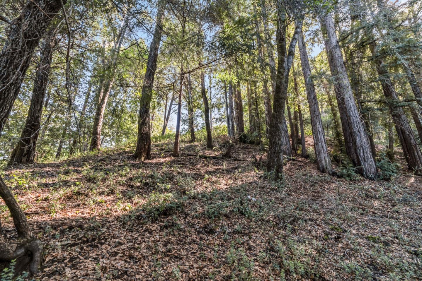 Lot 11 Volver Avenue