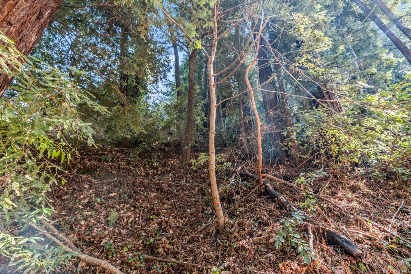 Lot 28 La Lena Street