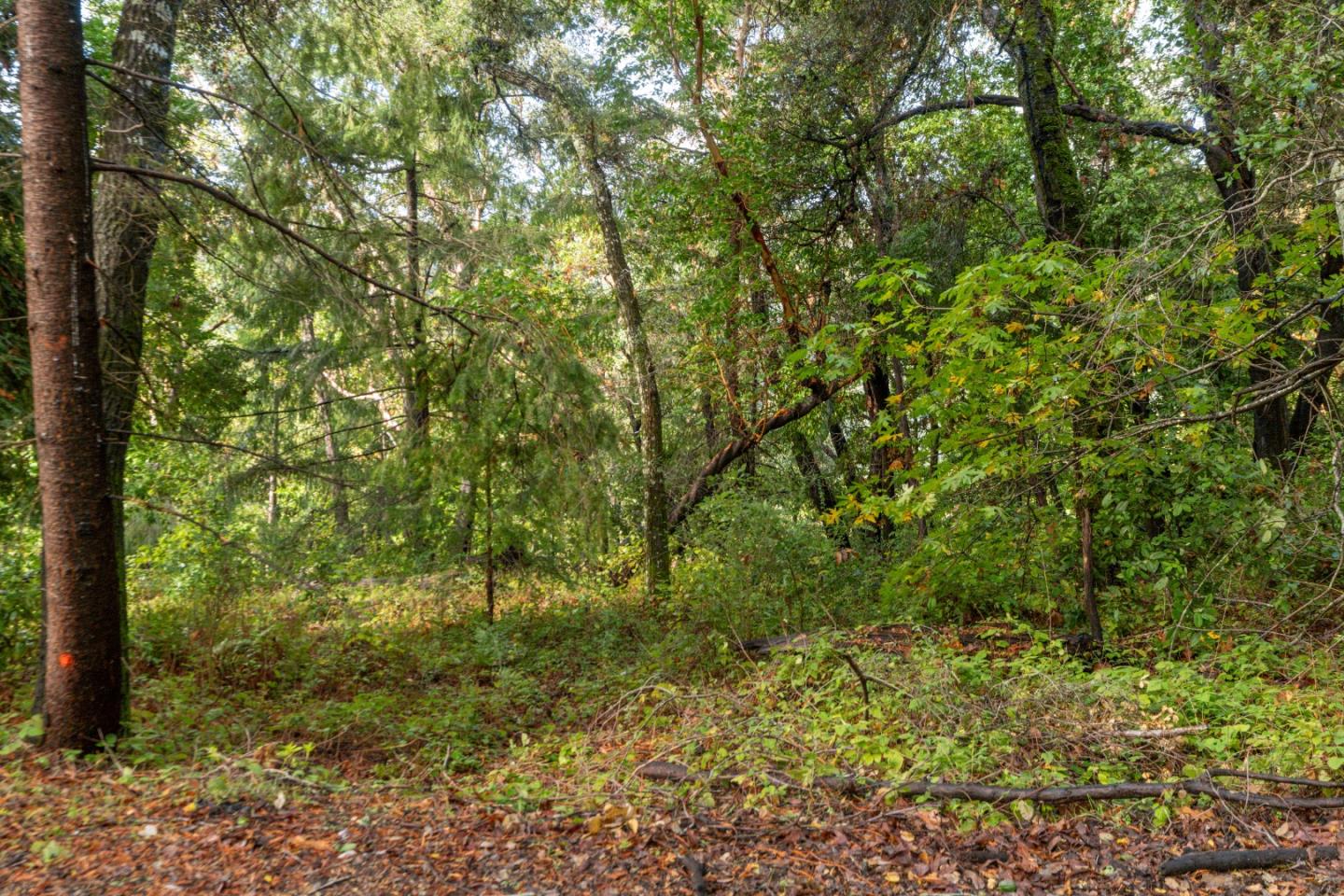 Lot 53 Lakeview Avenue