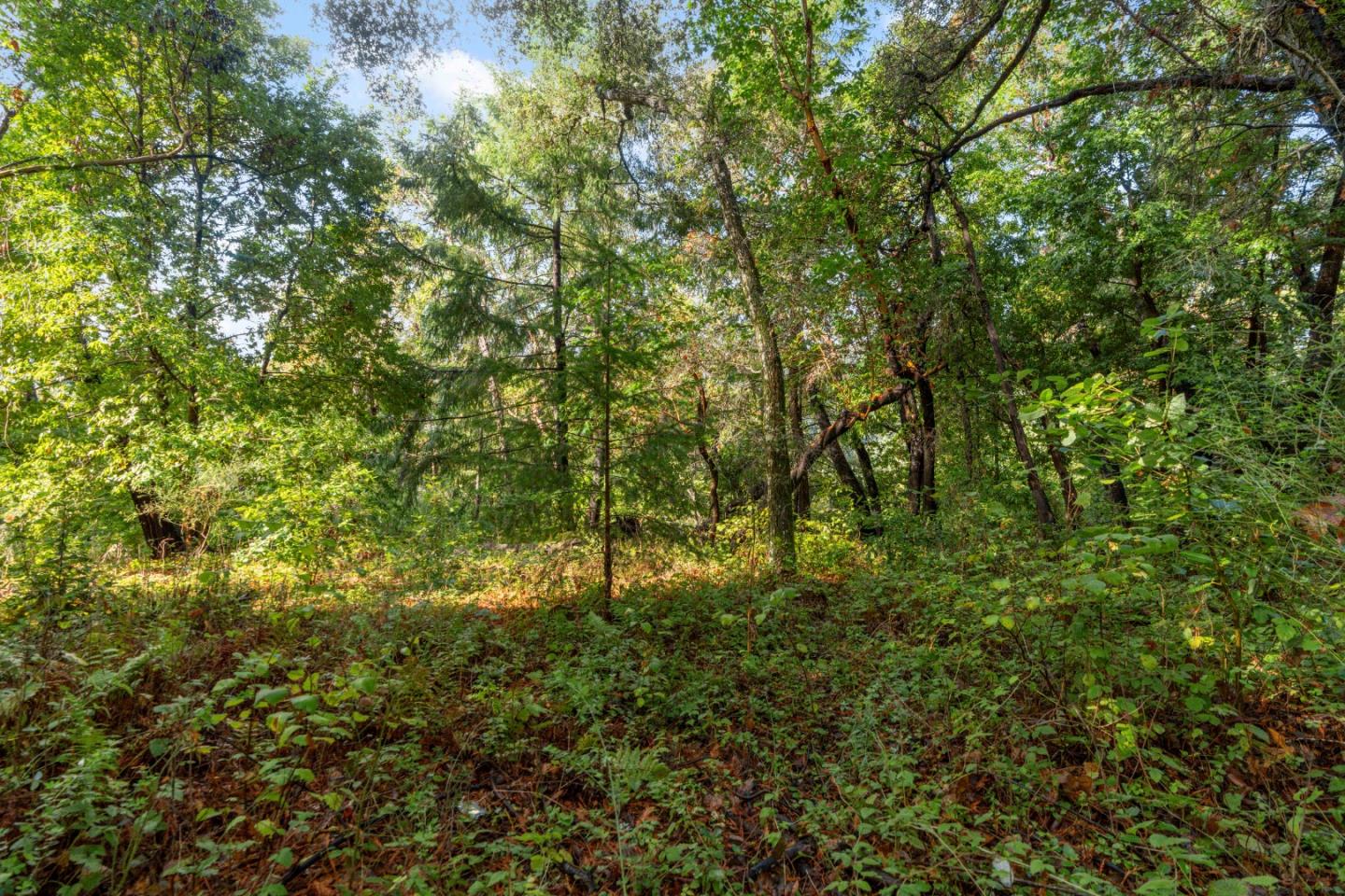 Lot 53 Lakeview Avenue