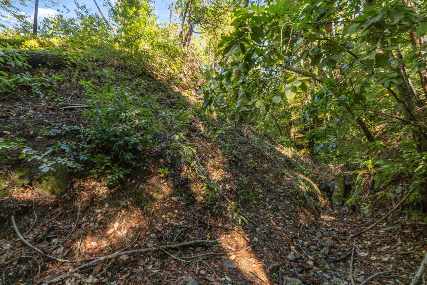 01 Lompico Road