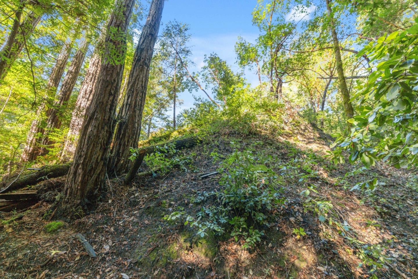 01 Lompico Road