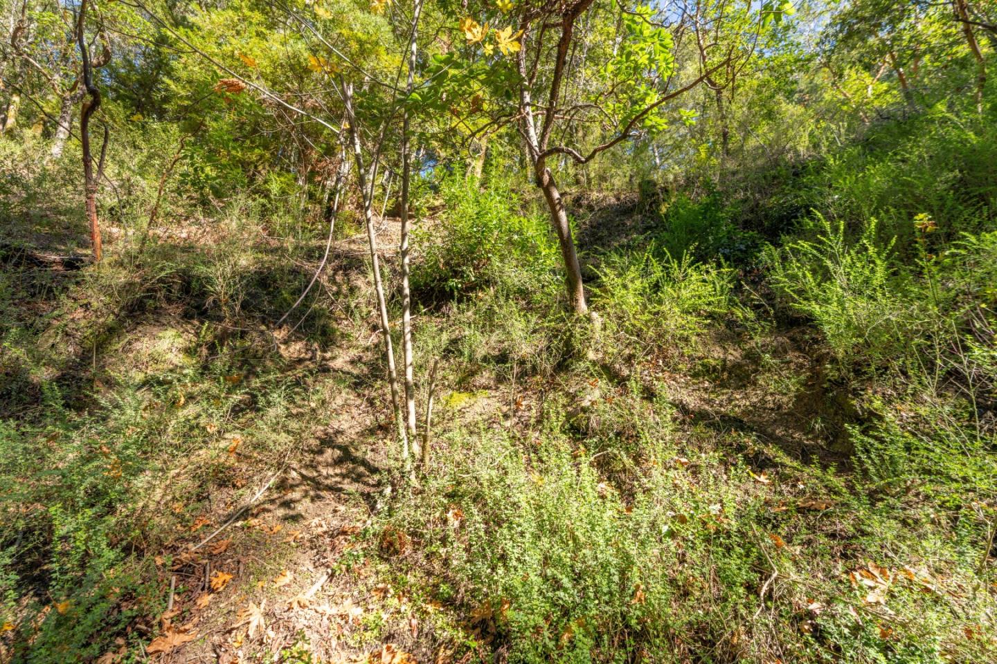 01 Lompico Road