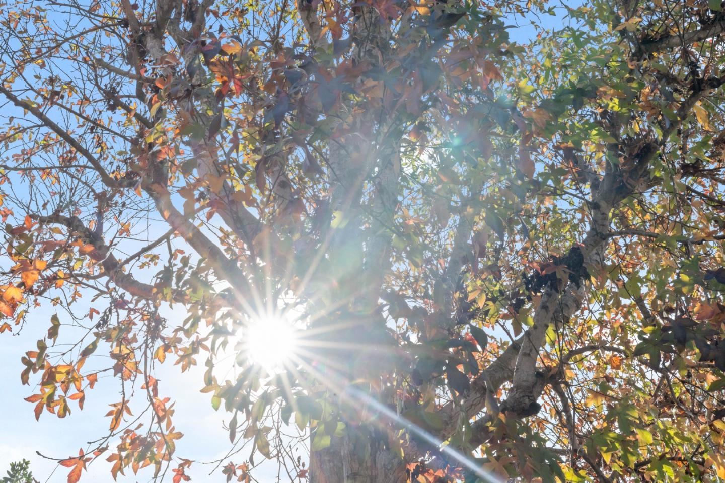 2258 Juan Pablo Lane