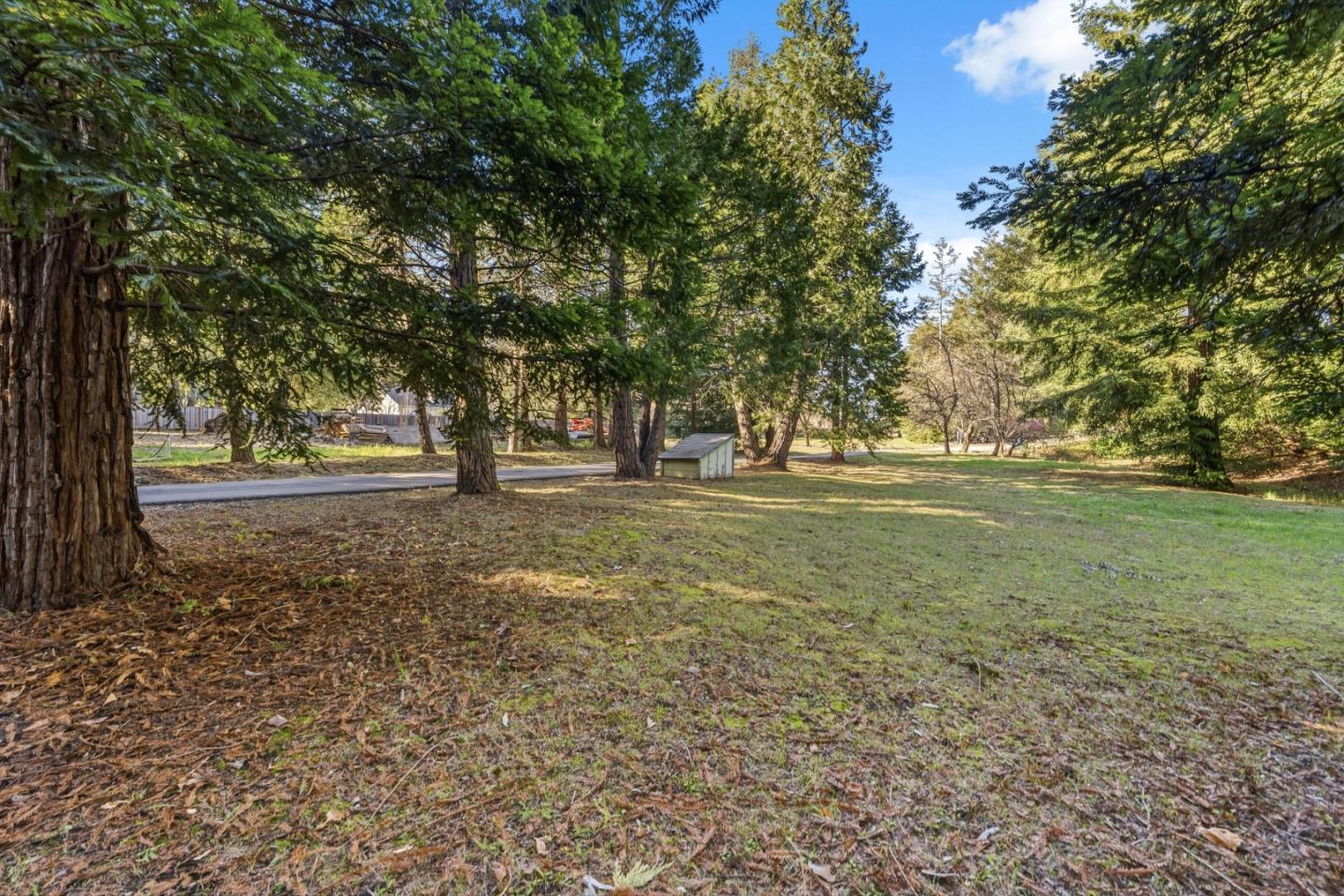 15 Braemoor Drive