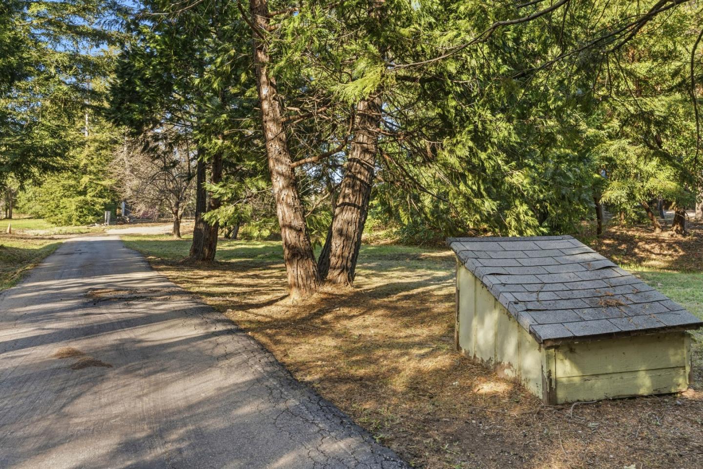 15 Braemoor Drive