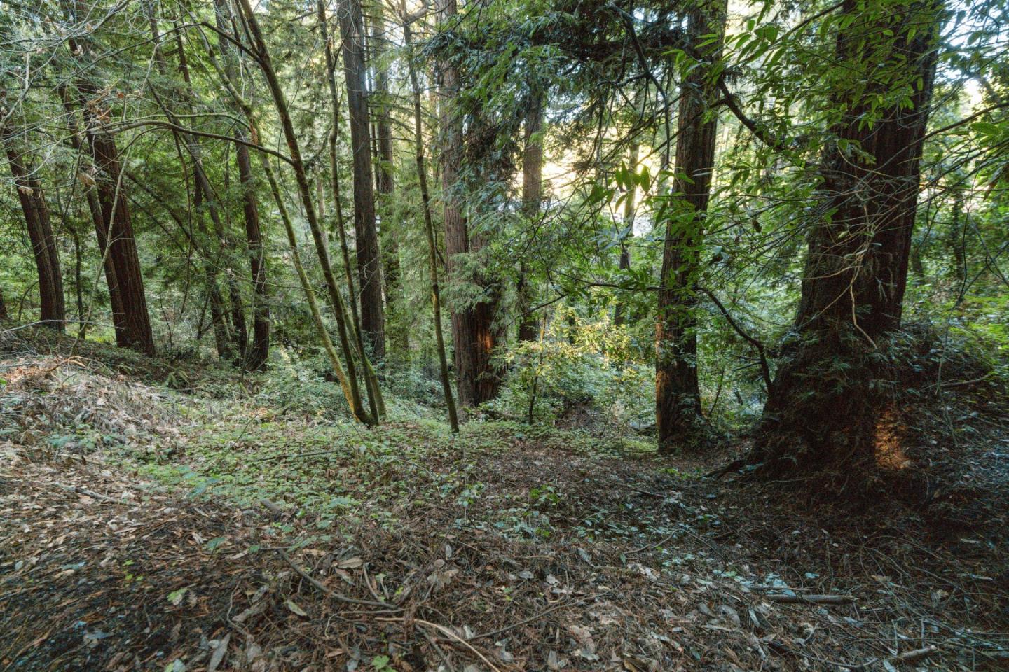 0 Pringle Lane