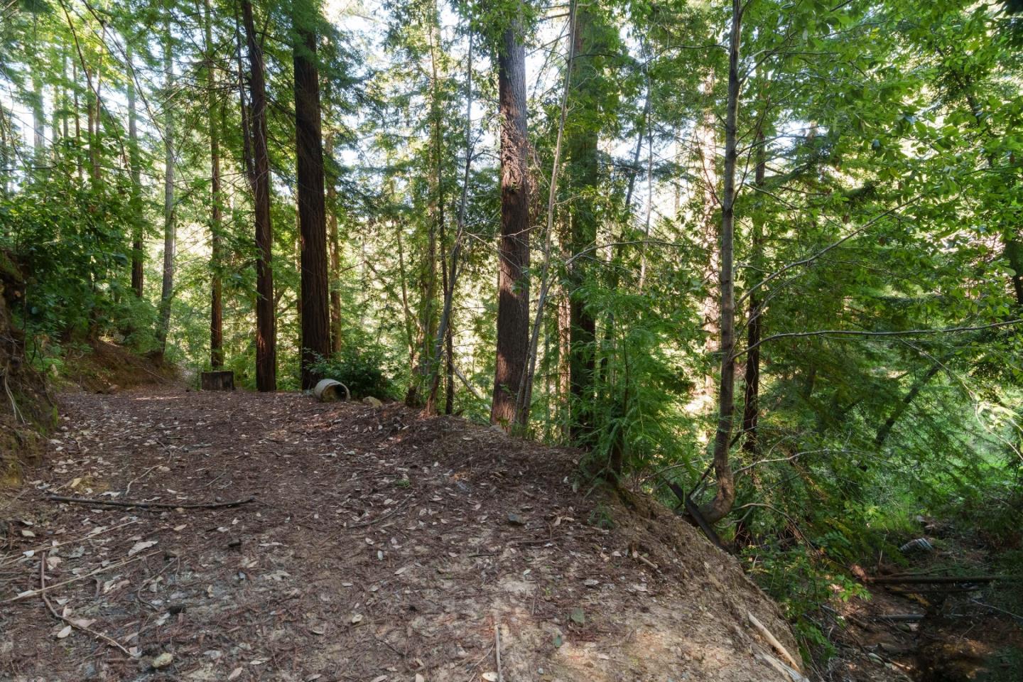 2950 Bear Canyon Road
