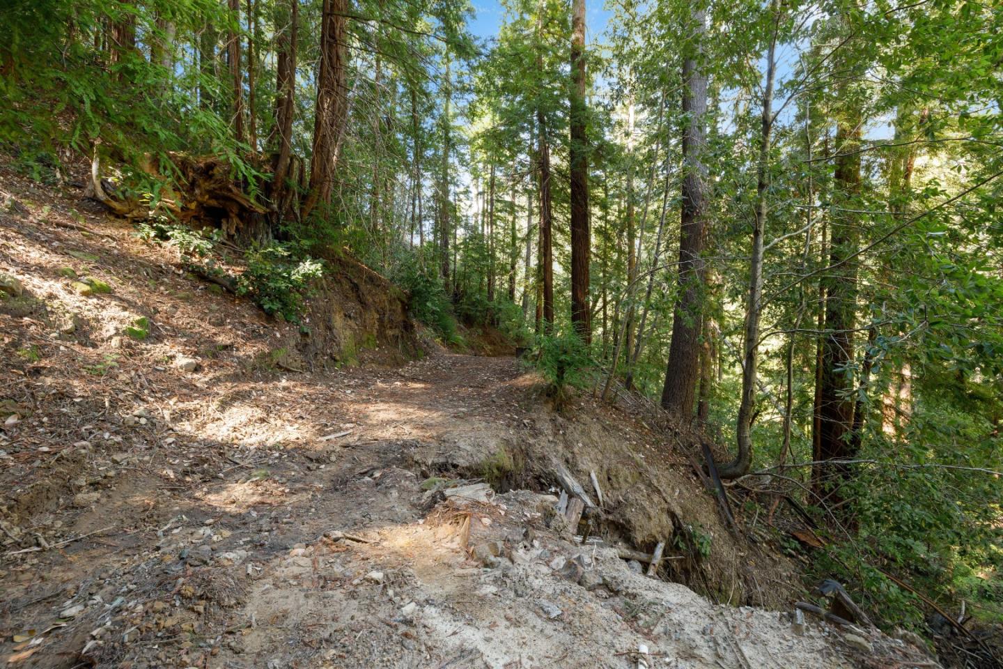 2950 Bear Canyon Road
