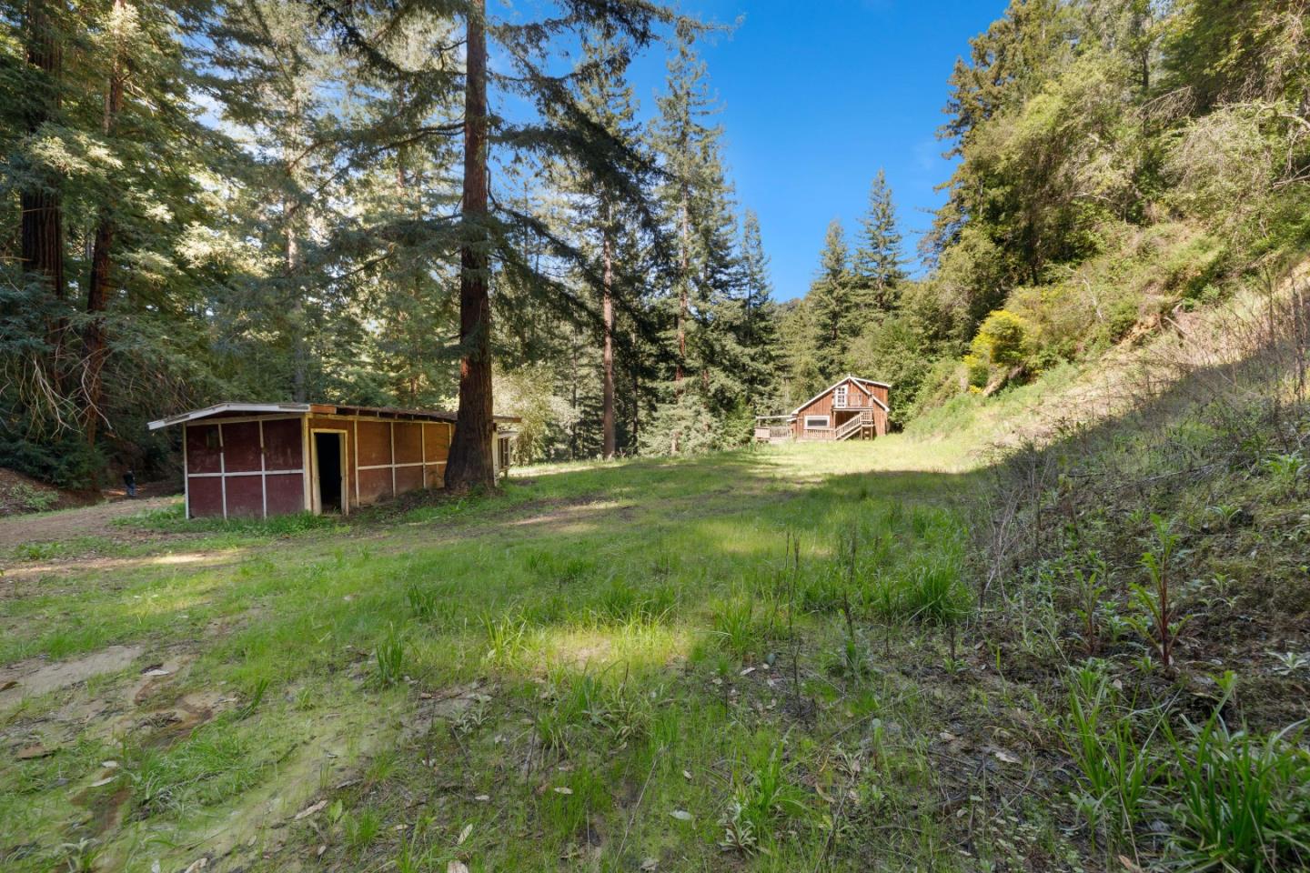2950 Bear Canyon Road