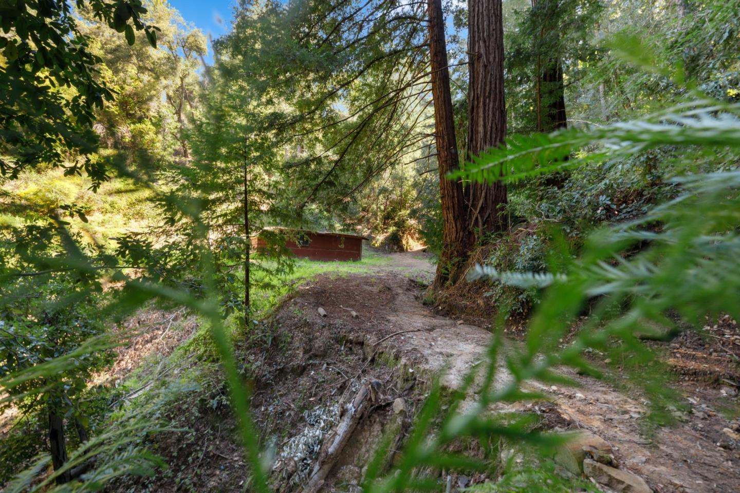 2950 Bear Canyon Road