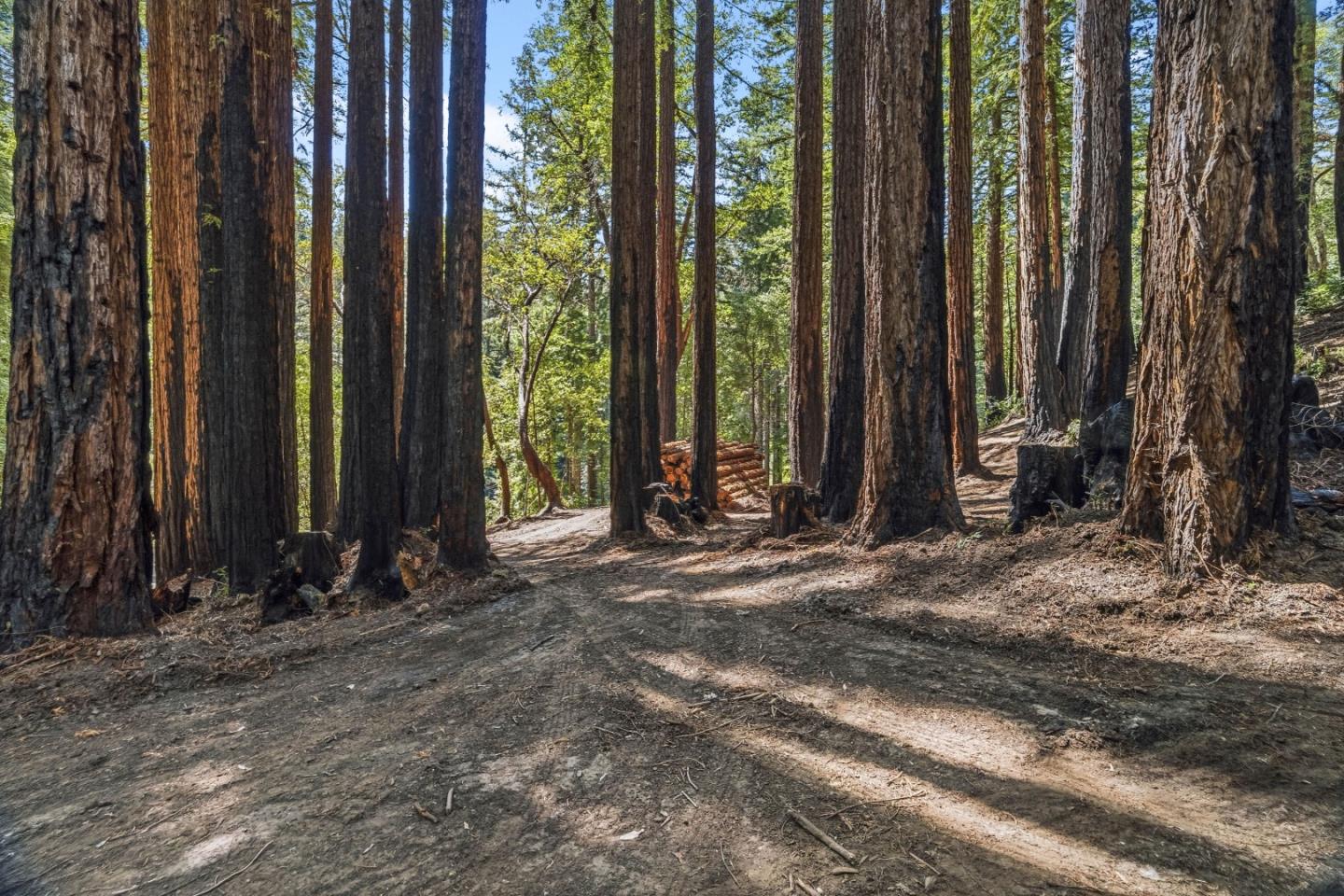 0 Band (Lot 15 & 18) Road