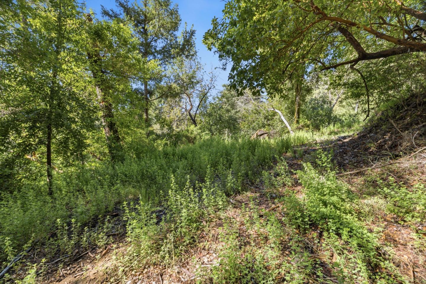 360 Rincon Way