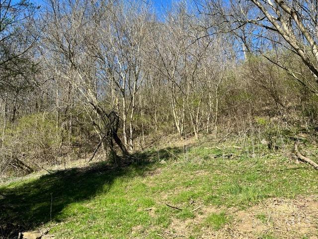 3085 Little Dry Run Road