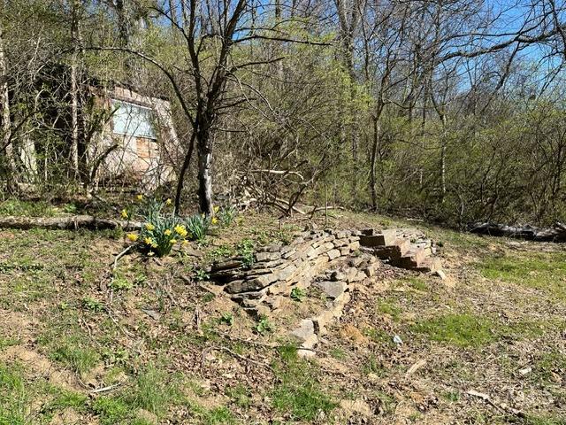 3085 Little Dry Run Road