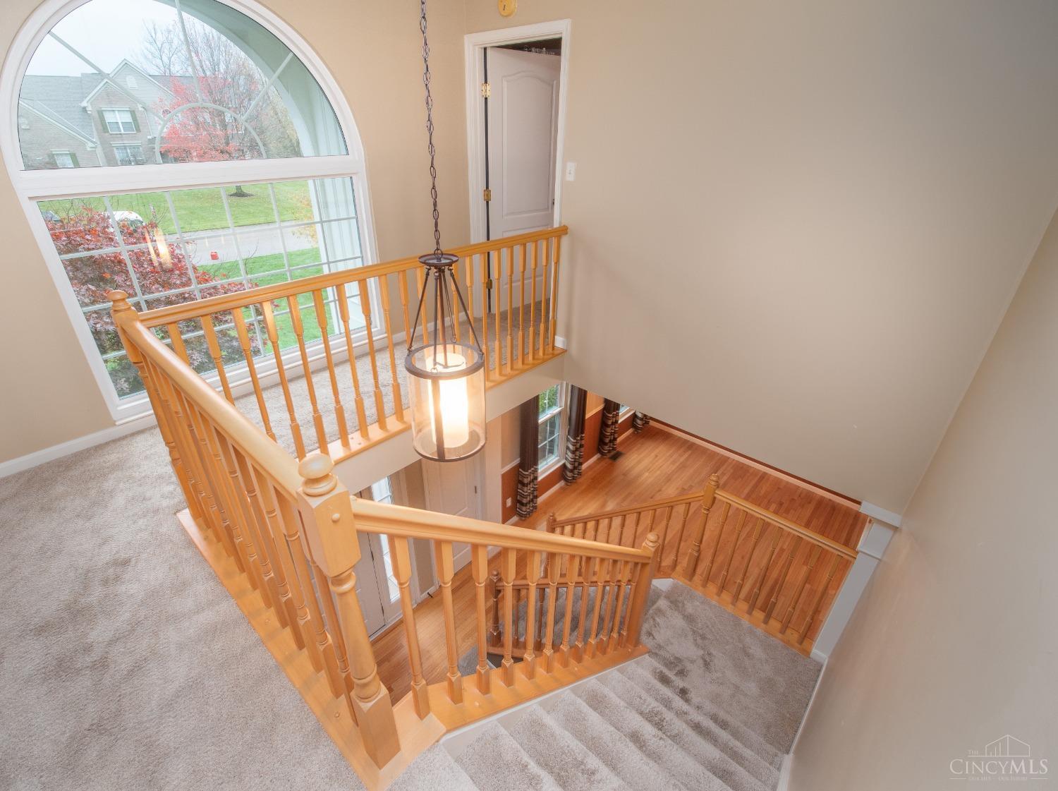 811 Dorgene Lane