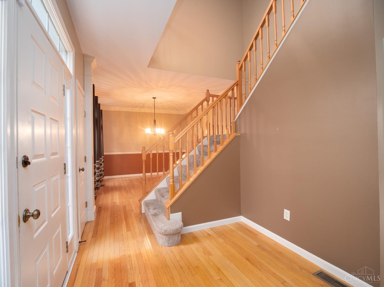 811 Dorgene Lane