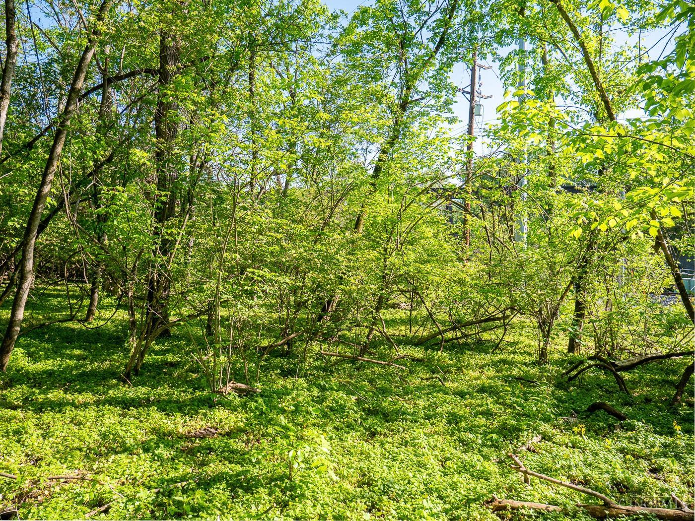 3389 Red Bank Road
