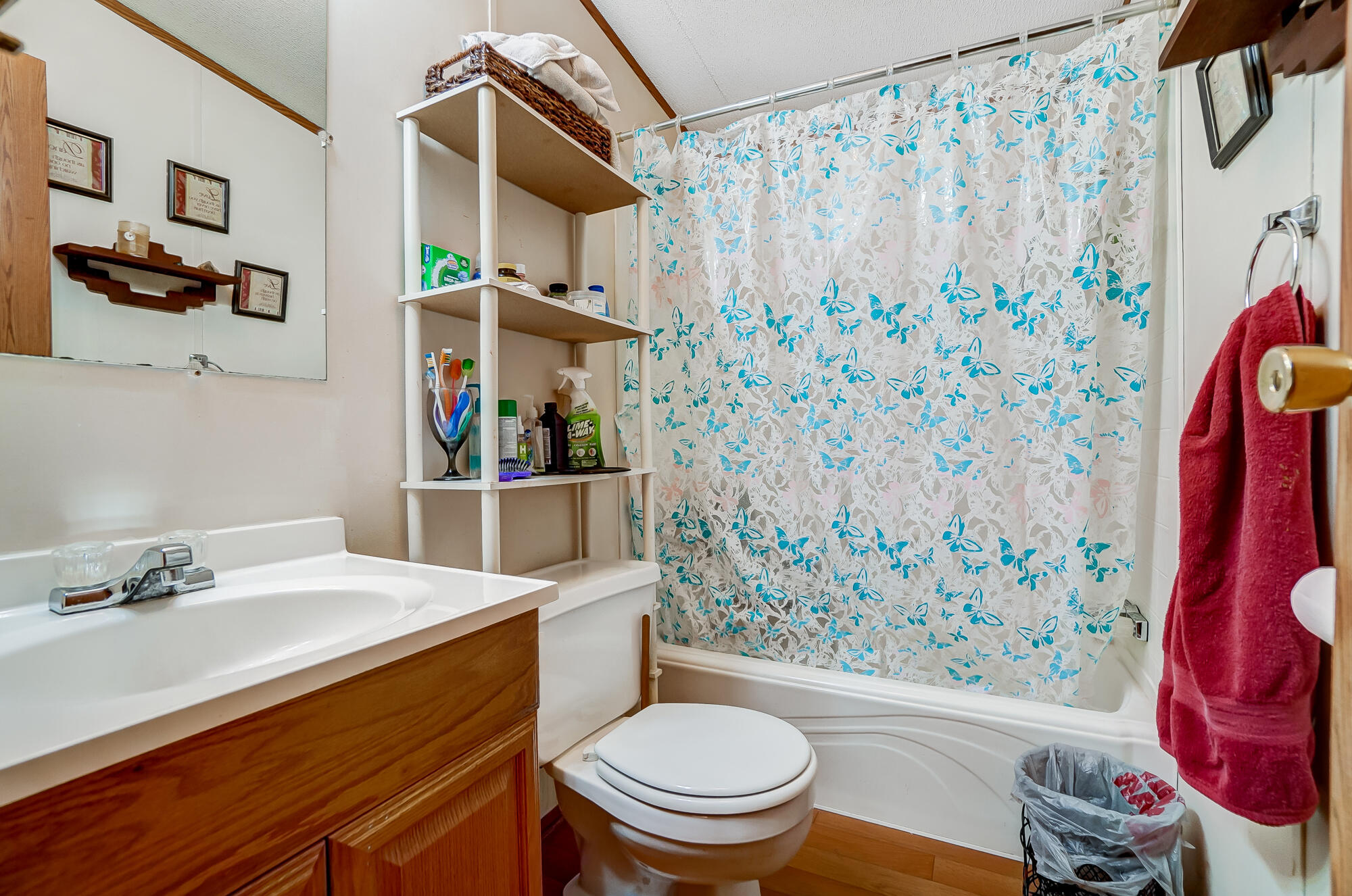 115 Highlander Court