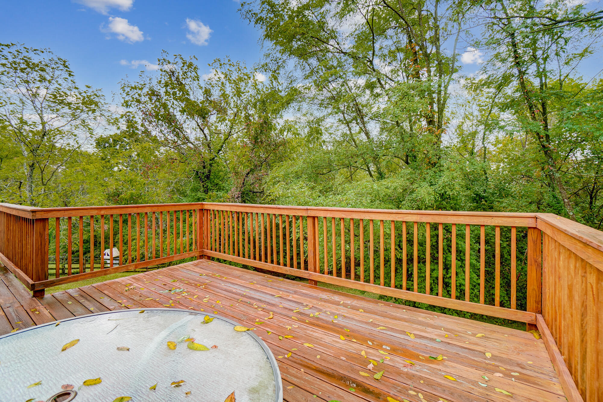 115 Highlander Court